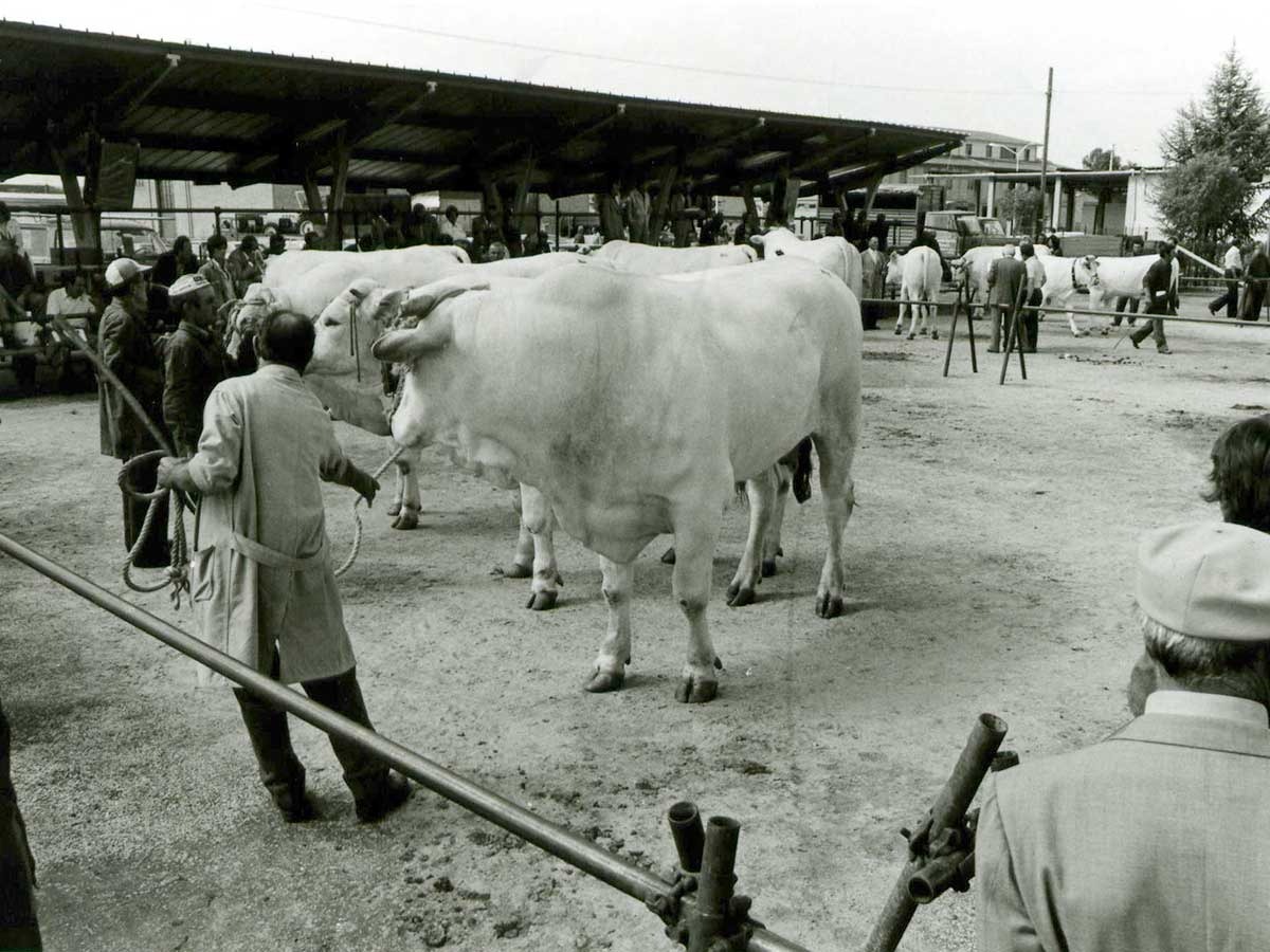 Umbria Fiere — storia del centro fieristico