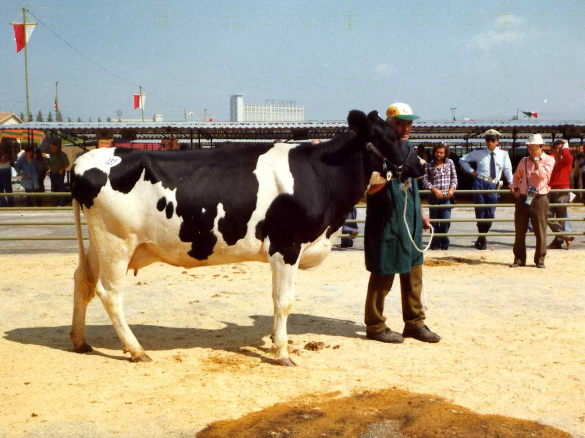 Umbria Fiere — storia del centro fieristico