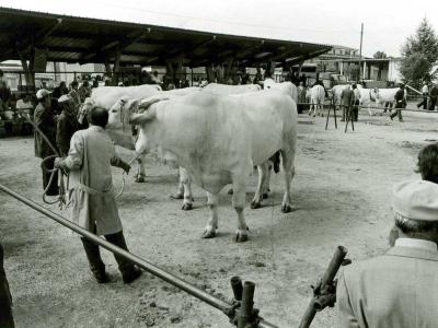 3 Storia Centro Fieristico Umbriafiere