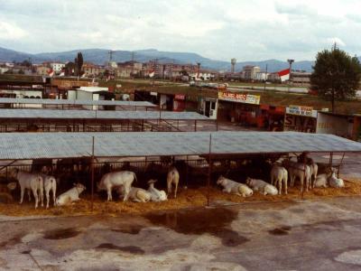 9 Storia Centro Fieristico Umbriafiere